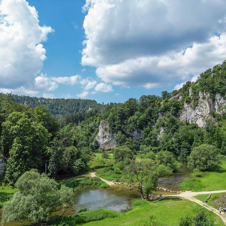 Gasthaus Jaegerhaus Fridingen an der Donau Bagian luar foto